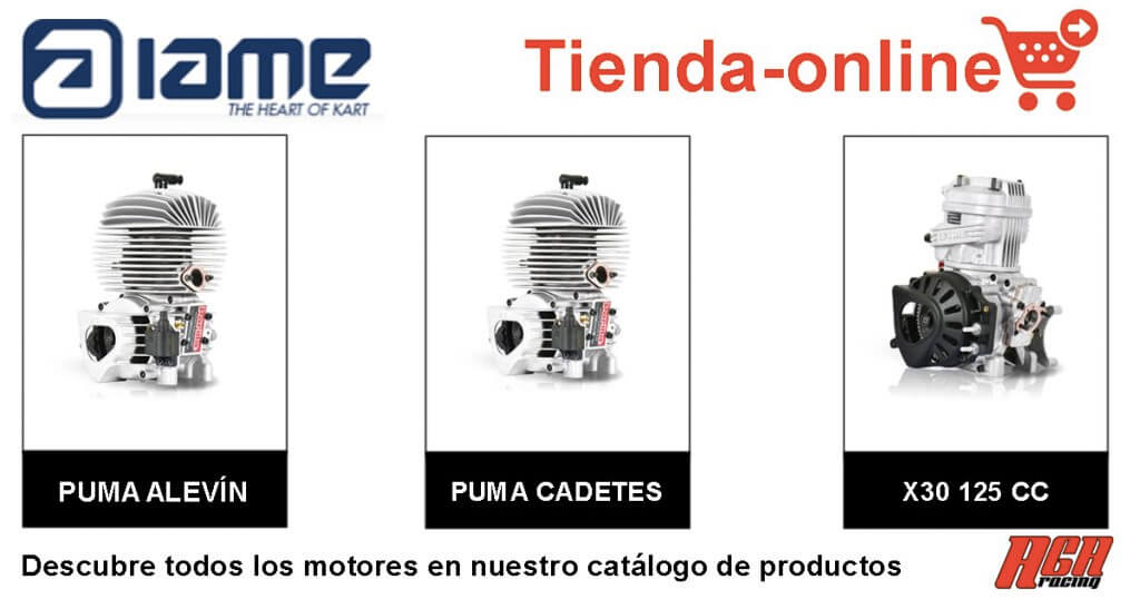 motor kart iame catalogo productos de agaracing tienda online venta motores para karting